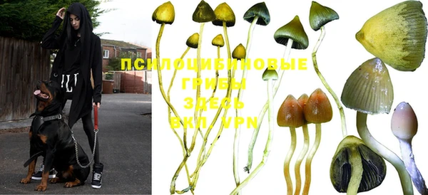 герыч Пролетарск